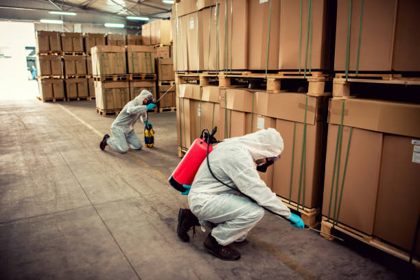 Best Pest Removal Services  in Avon, OH