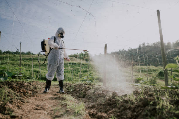 Best Ant Control Services  in Avon, OH