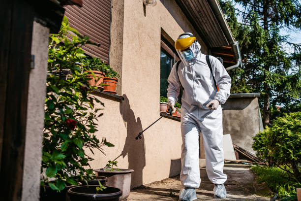 Best Rat Extermination Near Me  in Avon, OH