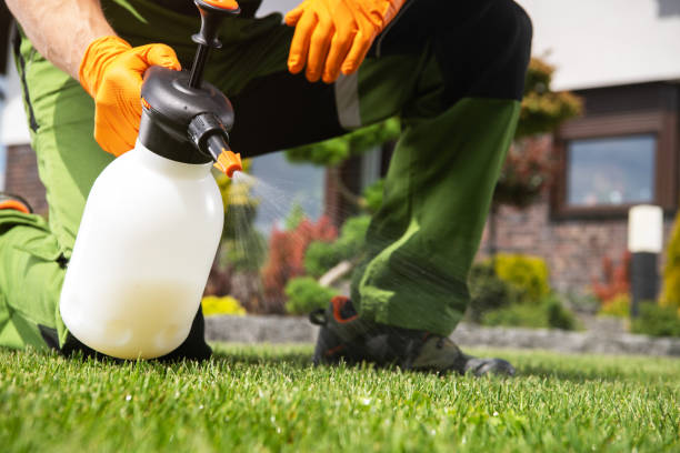 Best Commercial Pest Control Services  in Avon, OH