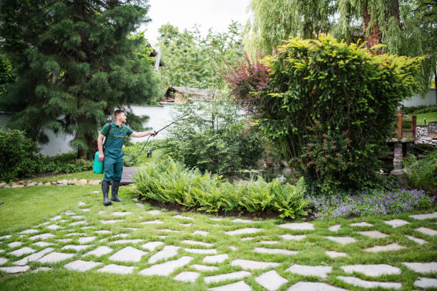 Best Best Pest Control Companies  in Avon, OH