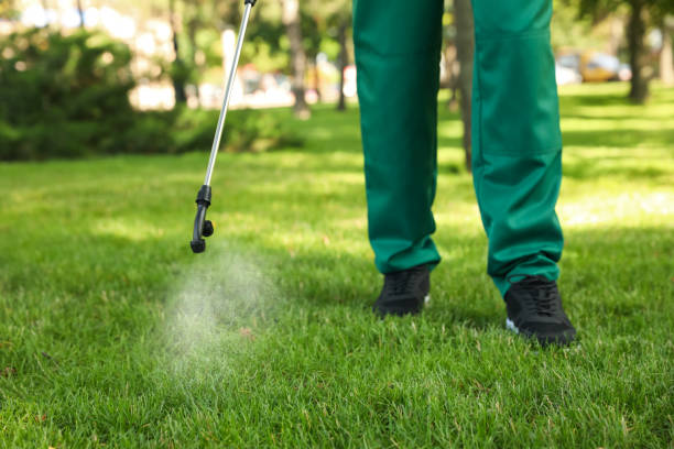 Best Affordable Pest Control Services  in Avon, OH